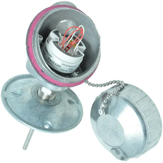 flue 气体 温度变送器 TT-f-R-100-200C